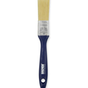 Pincel Profesional 10 (1") Bremen